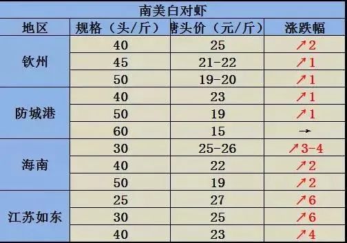 2024年11月7日 第10页