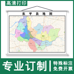 东平县全新地图概览