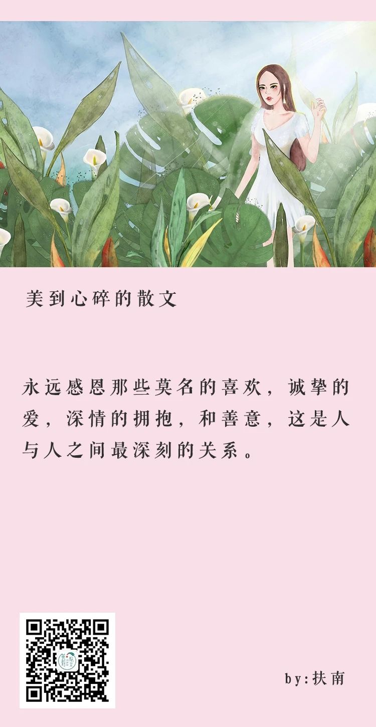 探索美的无限可能，最新唯美美文美图欣赏