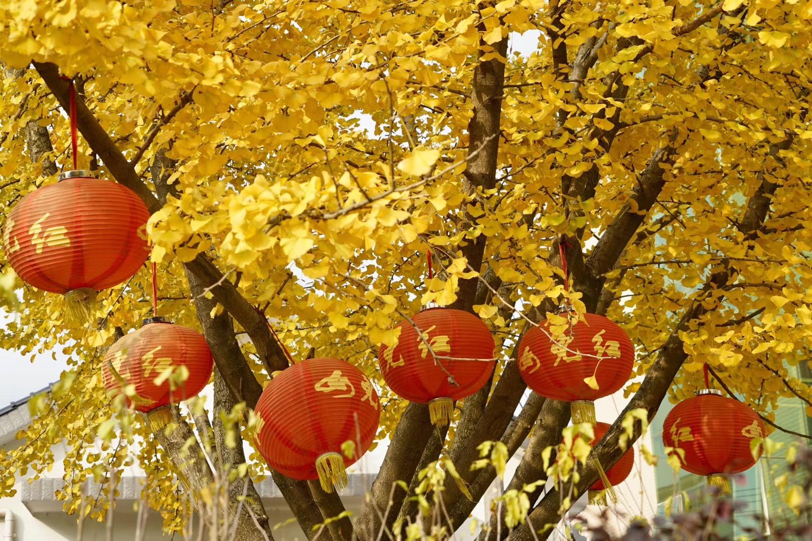 浙江城管换装重塑城市形象，展现新时代风采