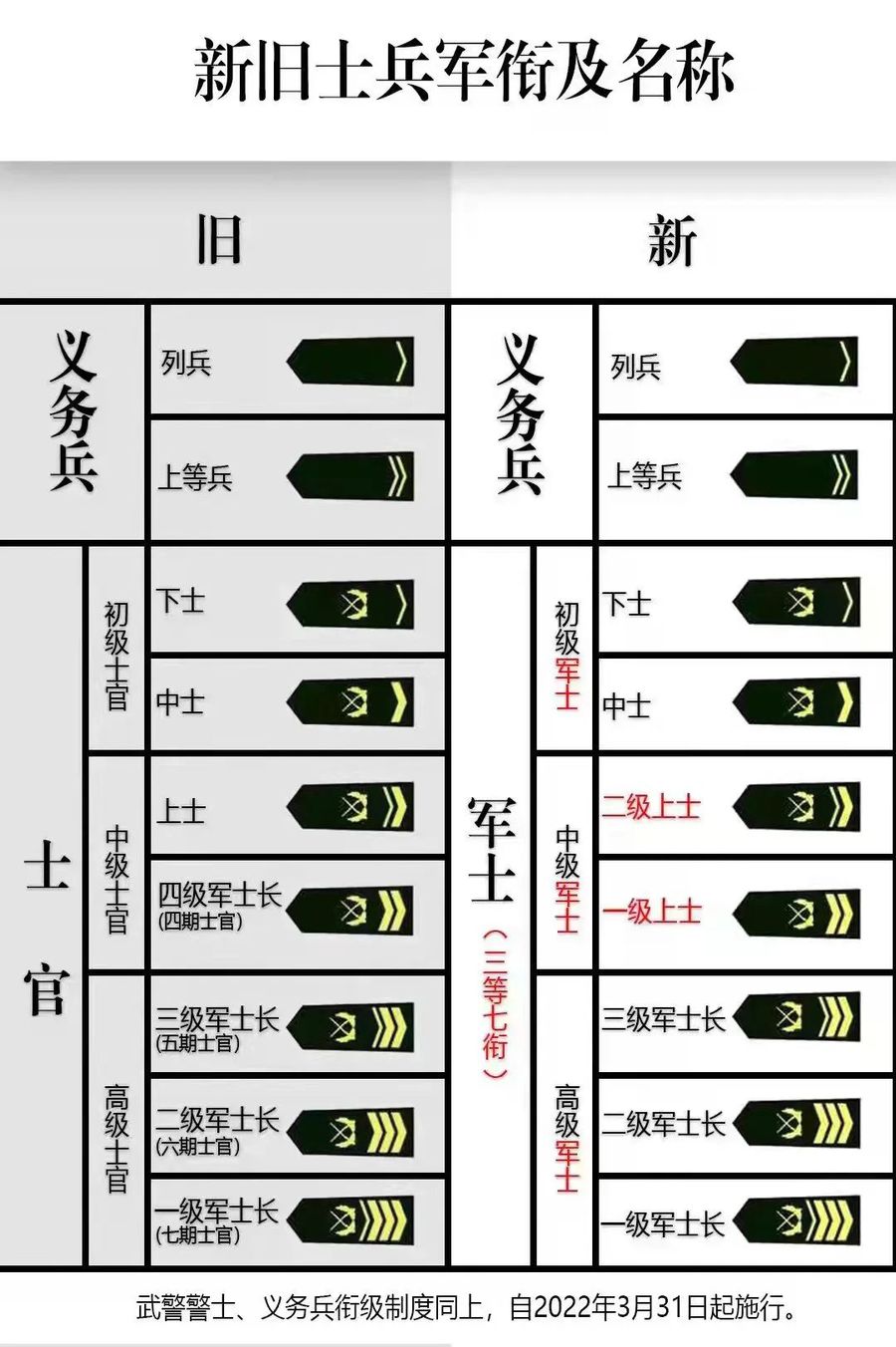 士官文职改革最新动态深度解析